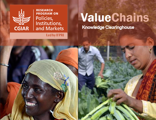 New online resource highlights tools for value chain analysis