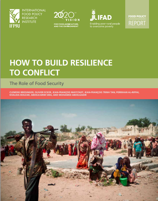 How to build resilience to conflict: The role of food security