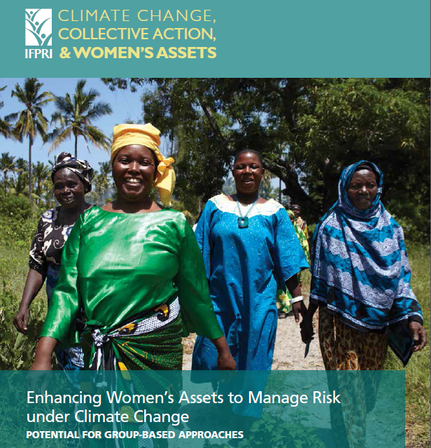 Enhancing women’s assets to manage risk under climate change: potential for group-based approaches