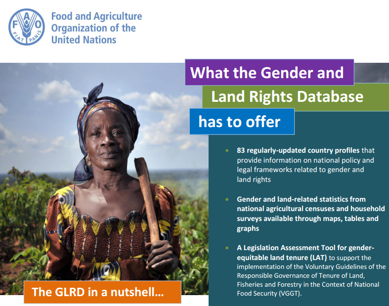 FAO’s Gender and Land Rights Database launches a new website