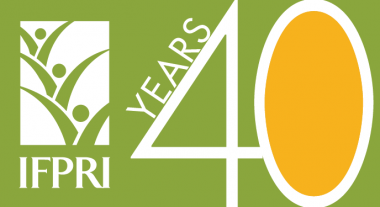 IFPRI turns 40