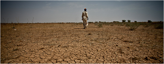Book: Confronting Drought in Africa’s Drylands: Opportunities for Enhancing Resilience
