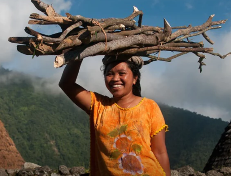 How CGIAR improves the livelihoods of rural women