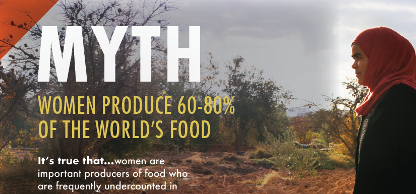 Webinar: Women in agriculture: Four myths