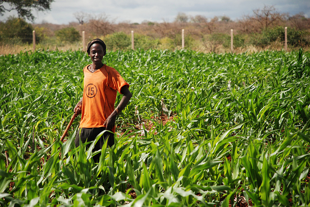 New Paper Explores The Effect Of Land Access On Youth Employment And 