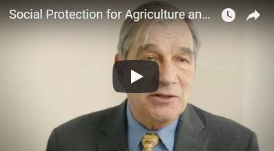 Why is social protection important for agriculture and resilience? Watch our colleagues explain! (Part 2, Harold Alderman)