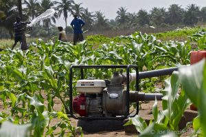 Pumps and sprinkler irrigation in Ghana. Photo credit: Joe Ronzio/IWMI