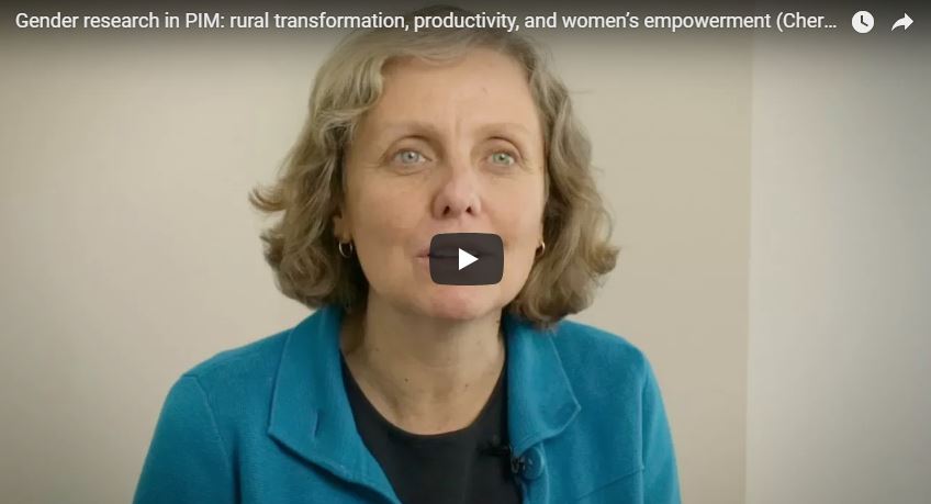 Gender research in PIM: rural transformation, productivity, and women’s empowerment