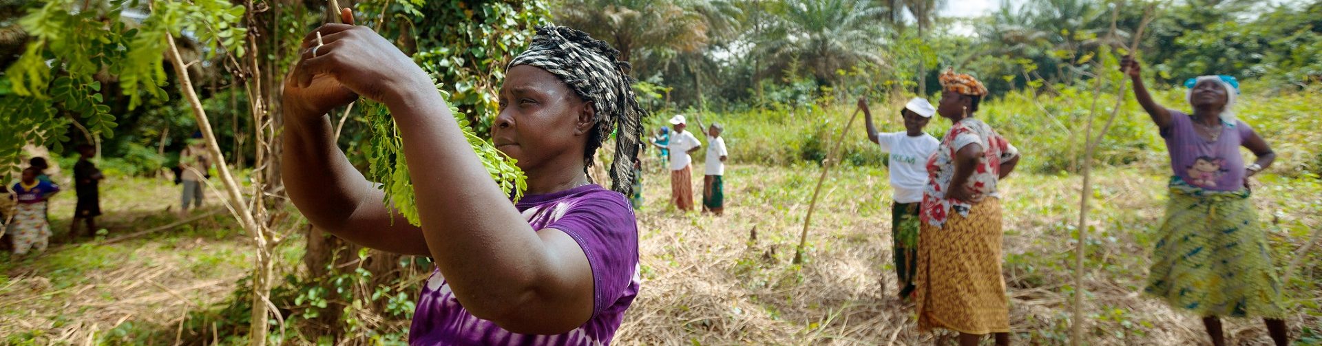 Policy seminar: Crafting the next generation of CGIAR gender research