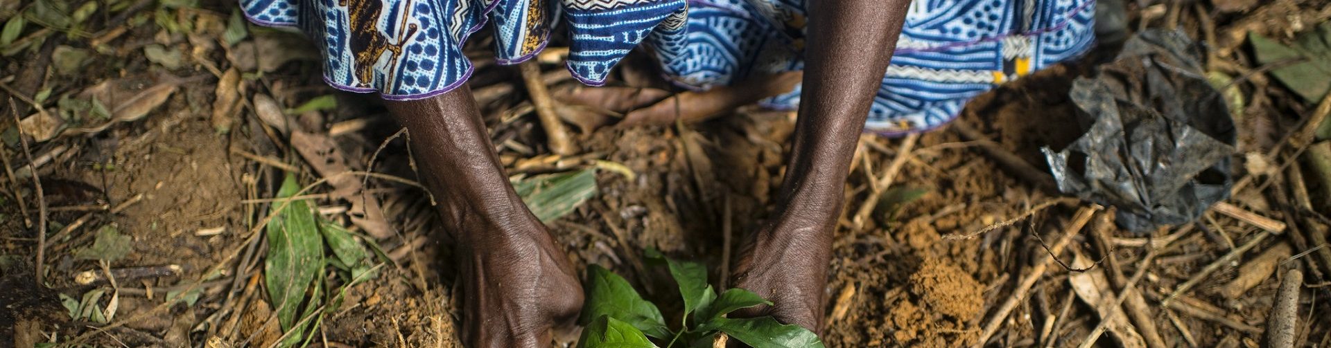 Webinar: The role of land certification in securing women’s land rights on collective lands
