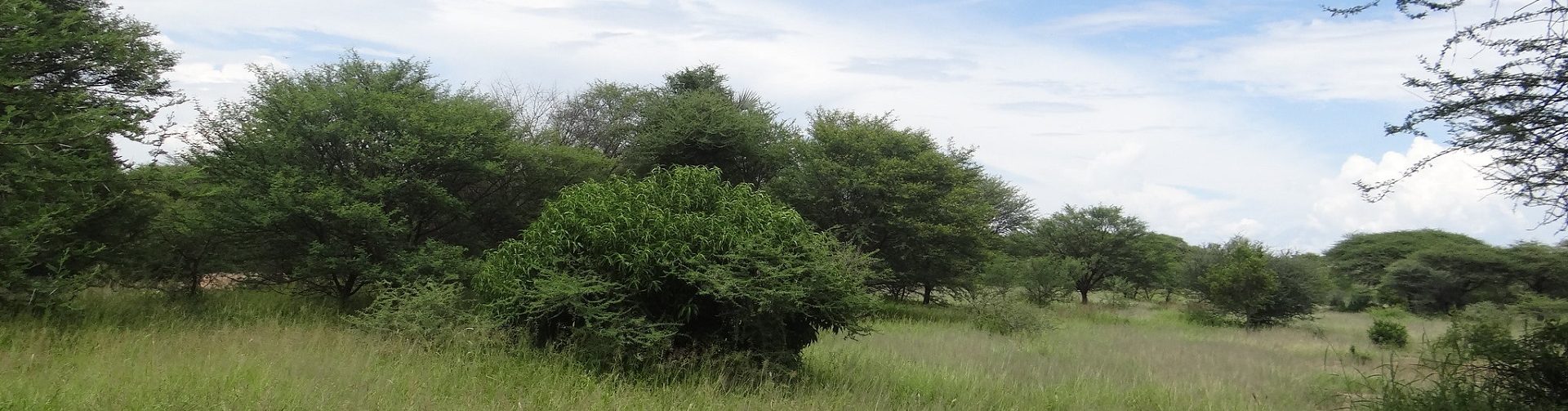 Restoring forests, restoring communities: Lessons from Shinyanga