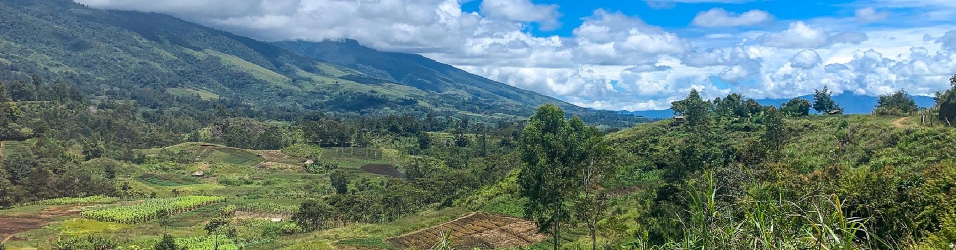 Promoting nonfarm businesses in Papua New Guinea can improve rural diets