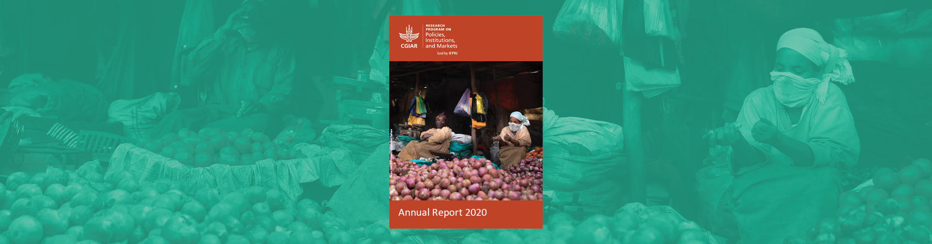 PIM Annual Report 2020