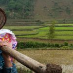 Myths about the feminization of agriculture: Implications for global food security
