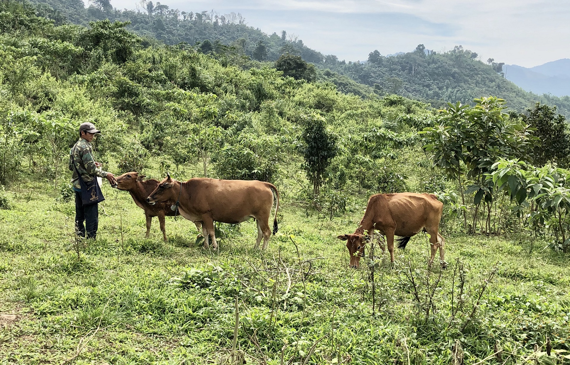 communal-land-tenure-where-state-s-interventions-meet-farmer-s-agency